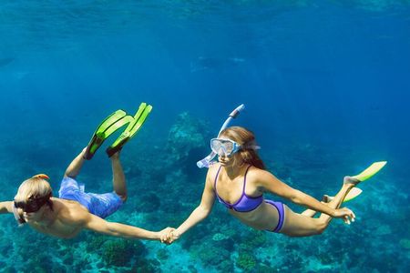 Snorkeling trips to Daymaniat Islands Sharing Trip