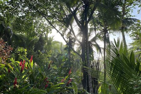 Personalized Private Tour Experience - Costa Rica