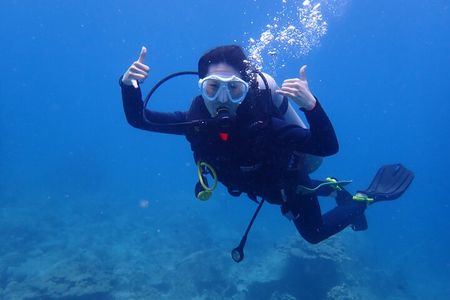 PADI Open Water Diver Course | For beginners