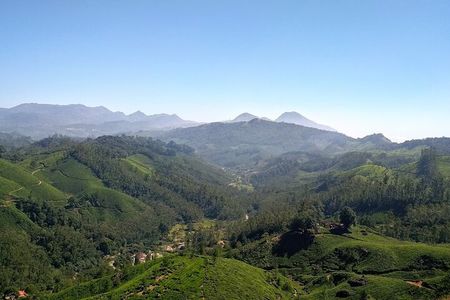 3 Nights Private Tour- Cochin/Munnar/Houseboat- Sanguine Holidays