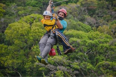 Combo Original Canopy (Tarzan Swing - Hanging bridges - Rappel & Climb tree