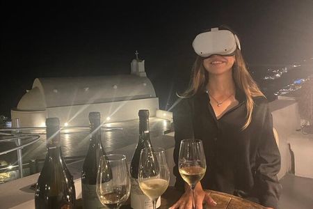 Half-Day Virtual Reality Tour and Wine Tasting