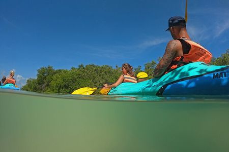 Kayaking Tour Through the Mangroves in Isla Holbox