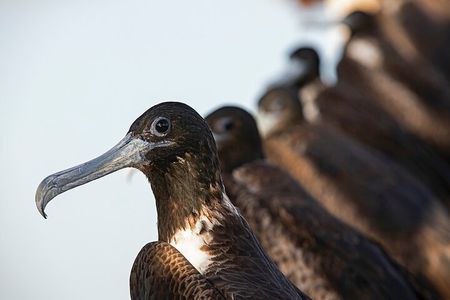 Holbox 3 Island Private Boat Tour 