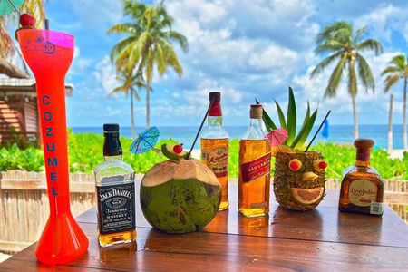 Chankanaab Park Premium Day Pass with Open Bar and Lunch