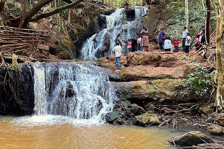 Karura Forest Nature Trail