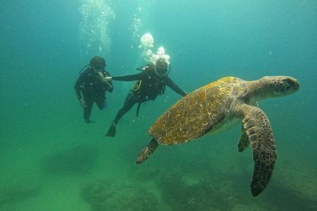 Scuba Diving at Cabo Pulmo National Park for 2 Divers !