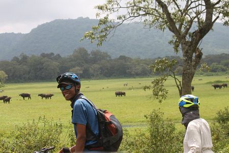  4 Days Tanzania Private Safari | Serengeti , Ngorongoro & Tarangire Safari