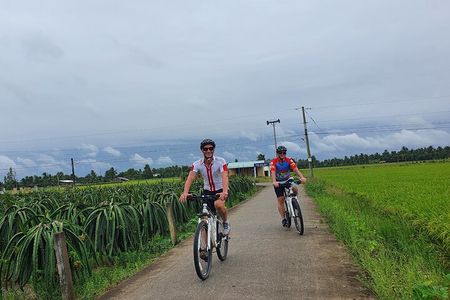 Private tour of Cycling to Mekong Delta in 1 day