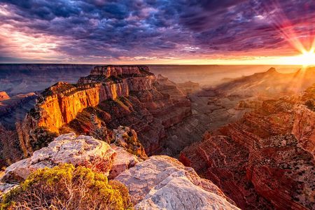 Small Group Grand Canyon, Hoover Dam and Joshua Tree Forest Tour