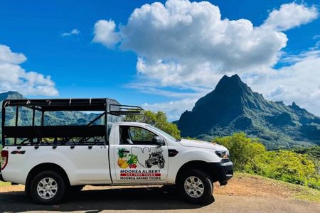 Moorea Albert Excursion SAFARI 4x4 with private SWING view point 
