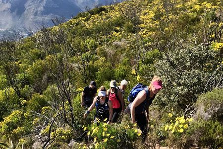 4 Day Table Mountain 13 Peaks Challenge