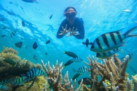 Bali Blue Lagoon Snorkeling Tour with Lunch, Private Transfer