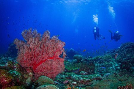 Two fun dives morning trip