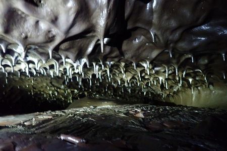 Discovery of the 2004 Coulées Tunnel in Sainte-Rose