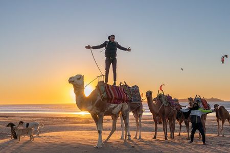 Half Day Marrakech Private Excursion