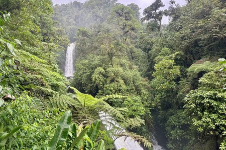Full Day Poas Volcano, La Paz Waterfall Gardens and Coffee Plantation Experience