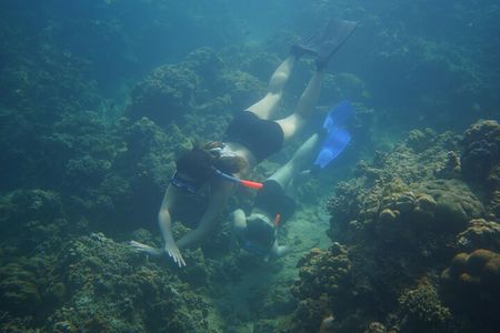 Shared Snorkeling Trip from Manila to Anilao, Batangas 2026