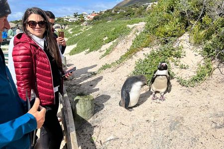 Private Tour Cape Point, Cape Of Good Hope & Penguins