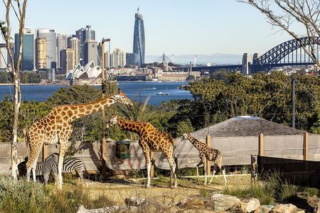 Taronga Zoo + Ferry Return Ticket