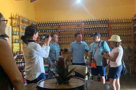 Temazcal Sweat Lodge and Tequila Tour