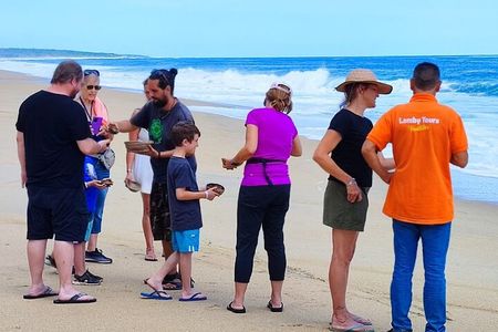 Private tour to release turtles with tickets included