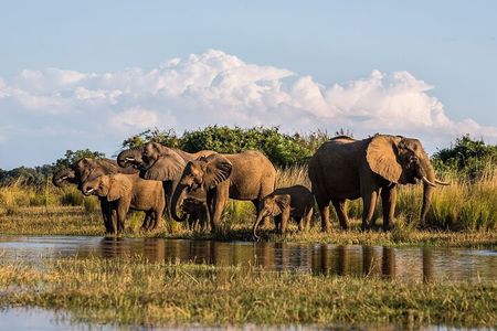 5 Day Garden Route and Botlierskop Game reserve from Cape Town