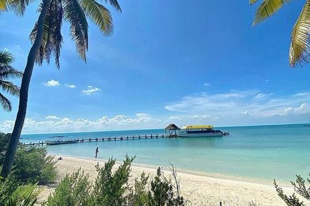 Isla Contoy Adventure Tour & Isla Mujeres from Playa del Carmen 