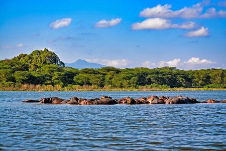 4-Day Masai Mara, L Naivasha and L Nakuru Safari