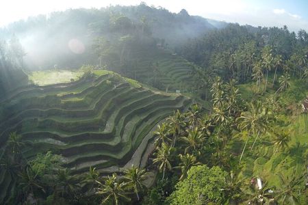 Best Bali Private Full Day Tour to Visit Ubud Village - Kintamani Batur Volcano