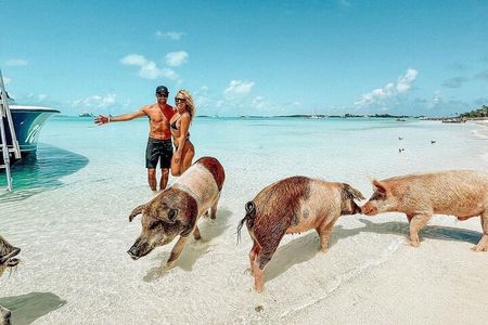 Exuma Swimming Pigs Full Day Boat Tour 