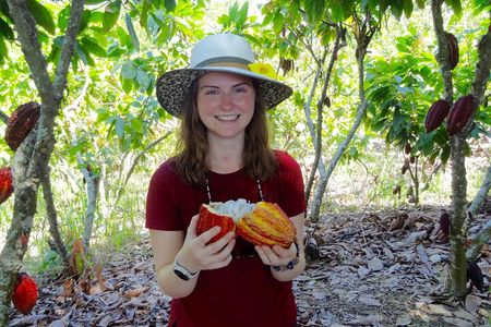 Half Day Tour Cocoa Farm Fruits and Plantations from Guayaquil