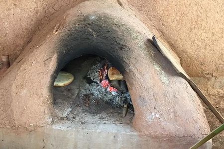 Morocco Vineyard Visit and Gourmet Tours