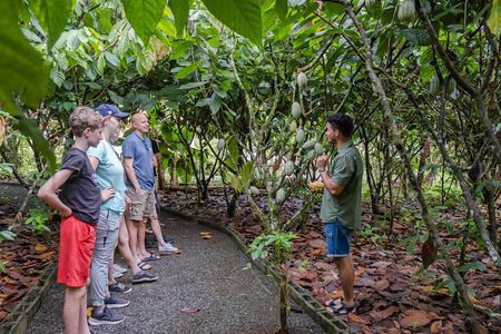 Costa Rican Coffee and Chocolate Crafting Experience: North Fields Cafe