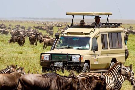 13 Days Best of Kenya and Tanzania BudgetSafari 
