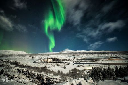 Golden Circle, Secret Lagoon and Northern Lights Tour