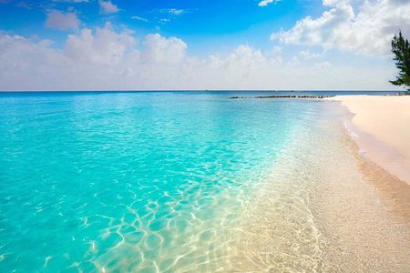 Jeep Ride at Cozumel! Snorkel + Round Transportation from Playa Del Carmen