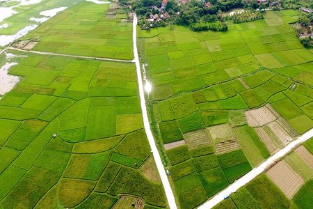 ECO TOUR in Bac Giang - 1 day experience as a farmer