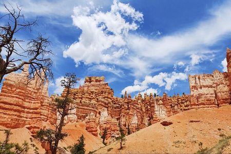 Small Group Bryce Canyon & Zion National Park Tour from Las Vegas