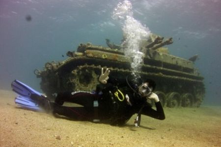 Cruise Experience Half-Day from Aqaba