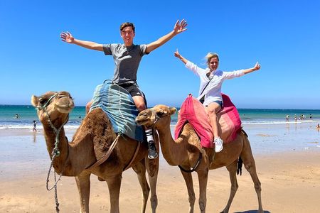 Tangier Shore Excursion with Camel Ride for Cruise Passengers