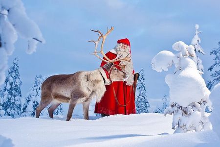 Highlights of Rovaniemi Day Tour