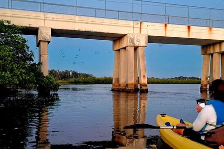 2 Hour Tarpon Springs Sunset and Night Guided Kayak Tour