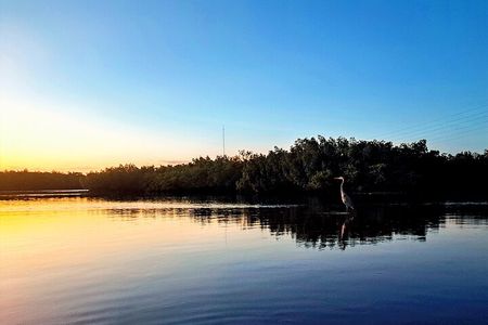 2 Hour Tarpon Springs Sunset and Night Guided Kayak Tour