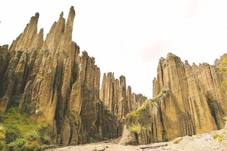 Half-Day Private Tour in Valle de las Animas and Palca Canyon