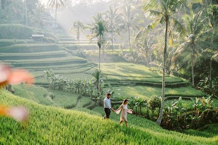 Ubud - All Inclusive Private Day Tour