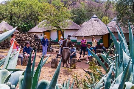Lesedi Cultural Village Private Tour with Lunch in 4 hours