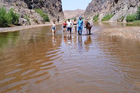 Half Day Private Walking Tour in Sidiflah Gorges