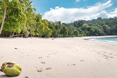 Manuel Antonio National Park