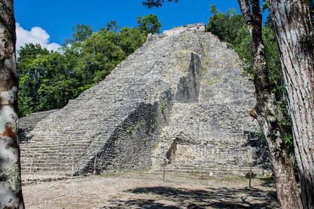 Deluxe Tour! Tulum Ruins, Coba and Cenote Kuxtal from Tulum City